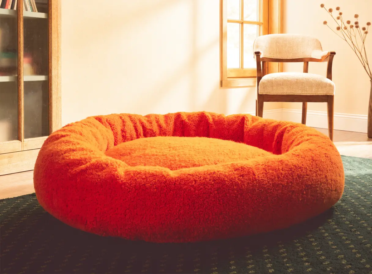 A plush marigold dog bed in a warm, bright home
