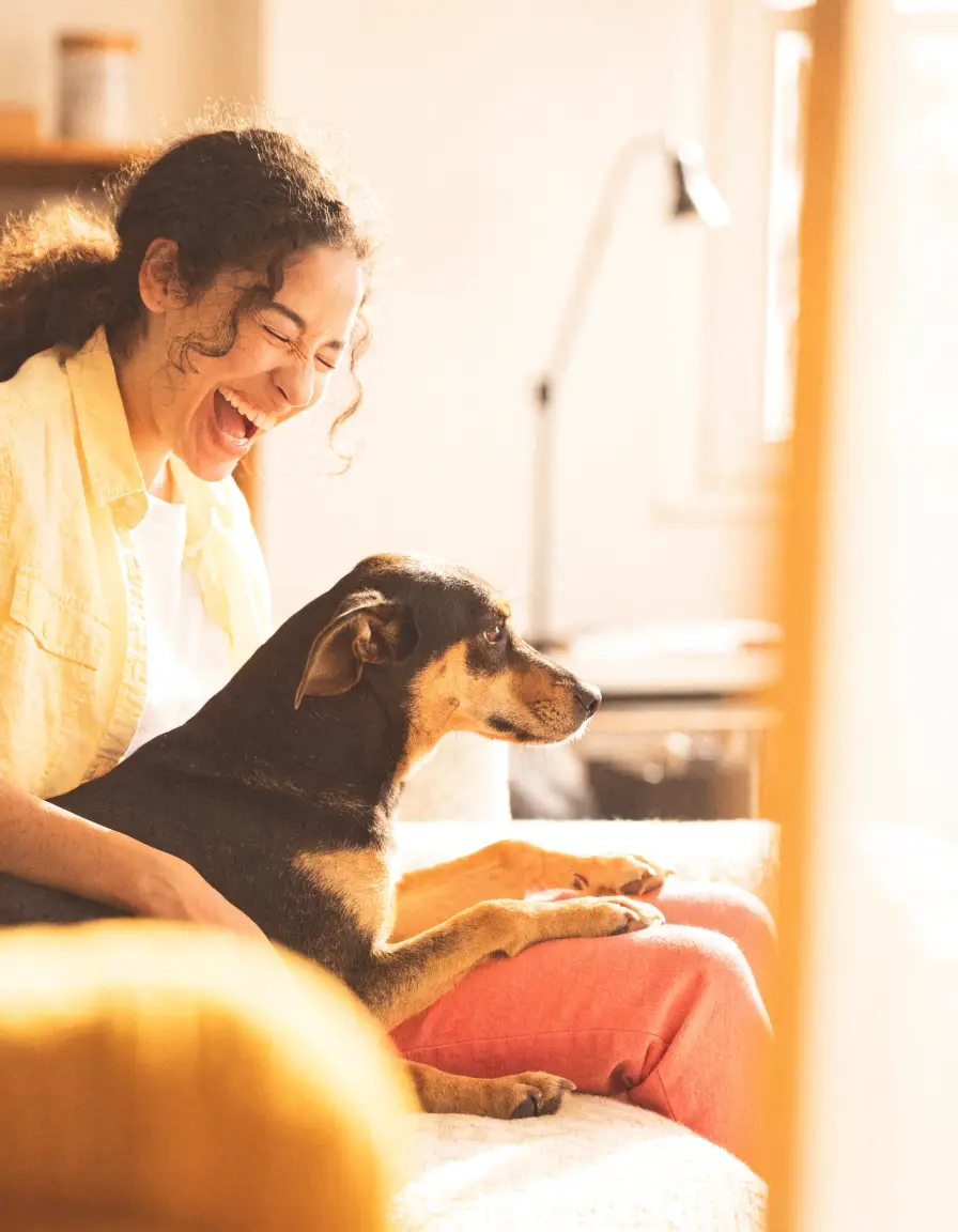 A person laughing with their happy dog in warm light